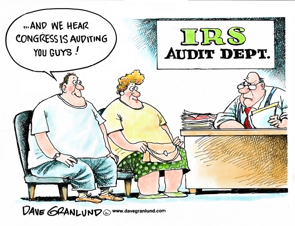  PROBE OF IRS by Dave Granlund