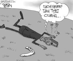 IRAQ BOOMERANG by Gary McCoy