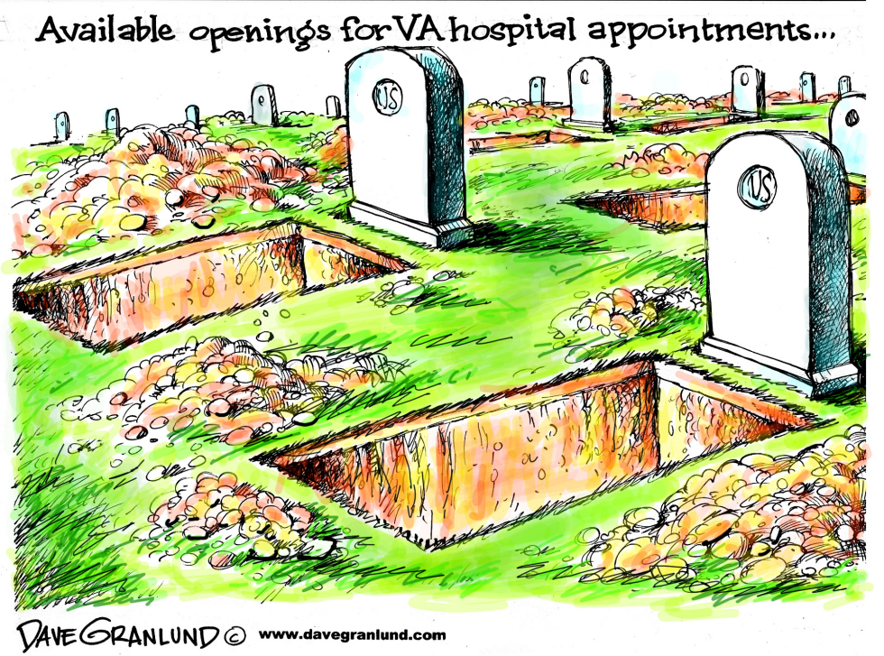  VA HOSPITAL APPOINTMENTS by Dave Granlund