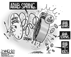 ARAB SPRING BW by John Cole