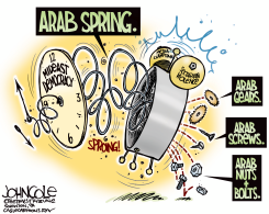 ARAB SPRING  by John Cole