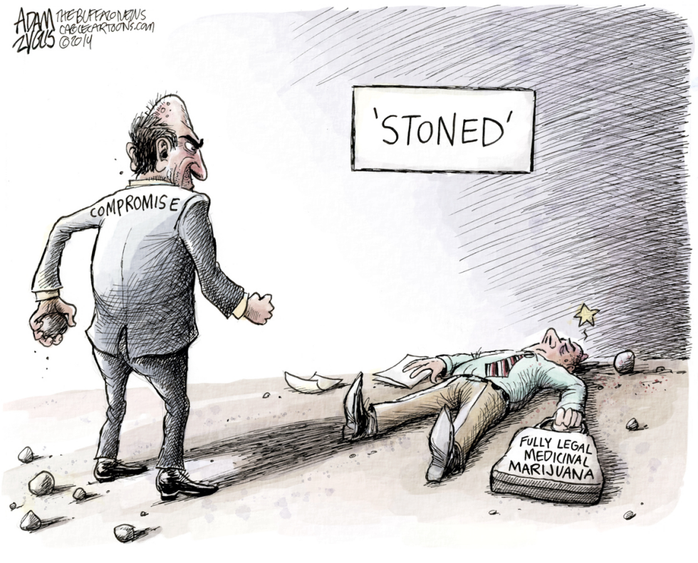  NY MEDICAL MARIJUANA by Adam Zyglis