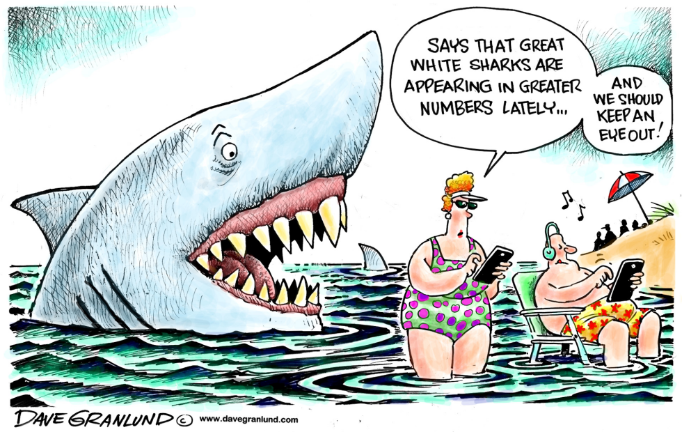  GREAT WHITE SHARKS MULTIPLY by Dave Granlund