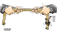 LOCAL NC BUDGET TUG-OF-WAR by John Cole