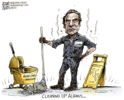 NY STATE ETHICS REFORM  by Adam Zyglis