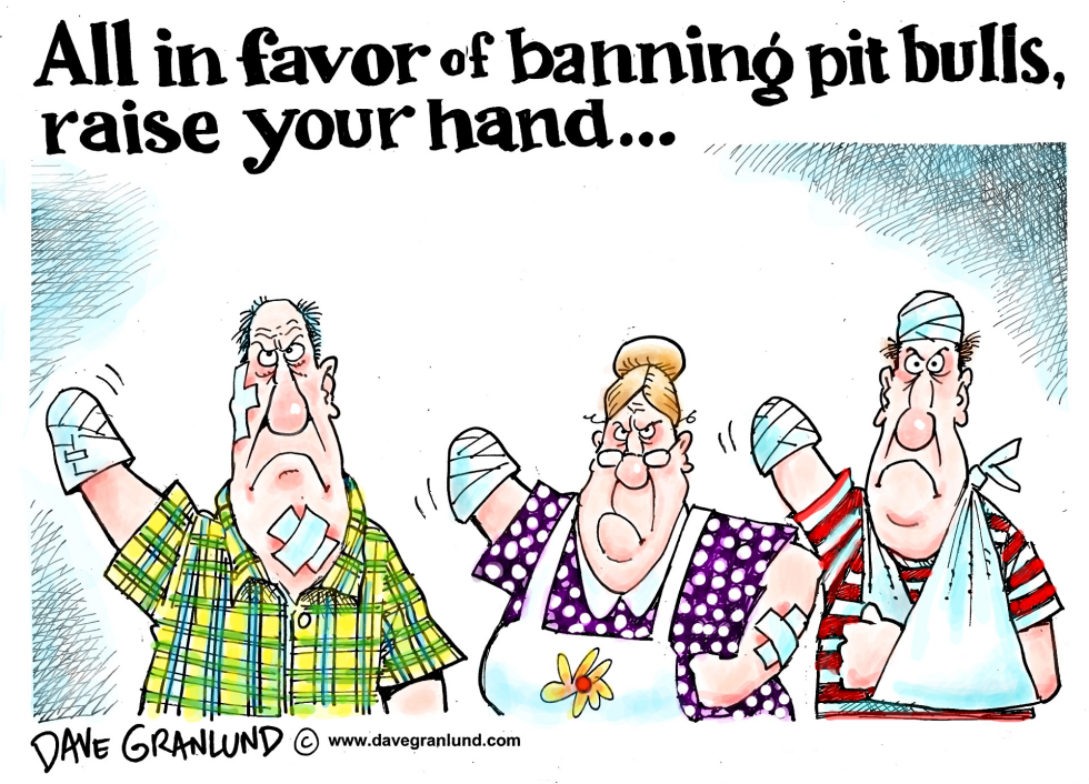  PIT BULLS by Dave Granlund