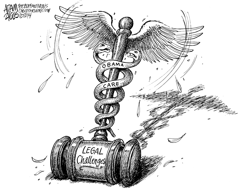 Obamacare Legal Challenges