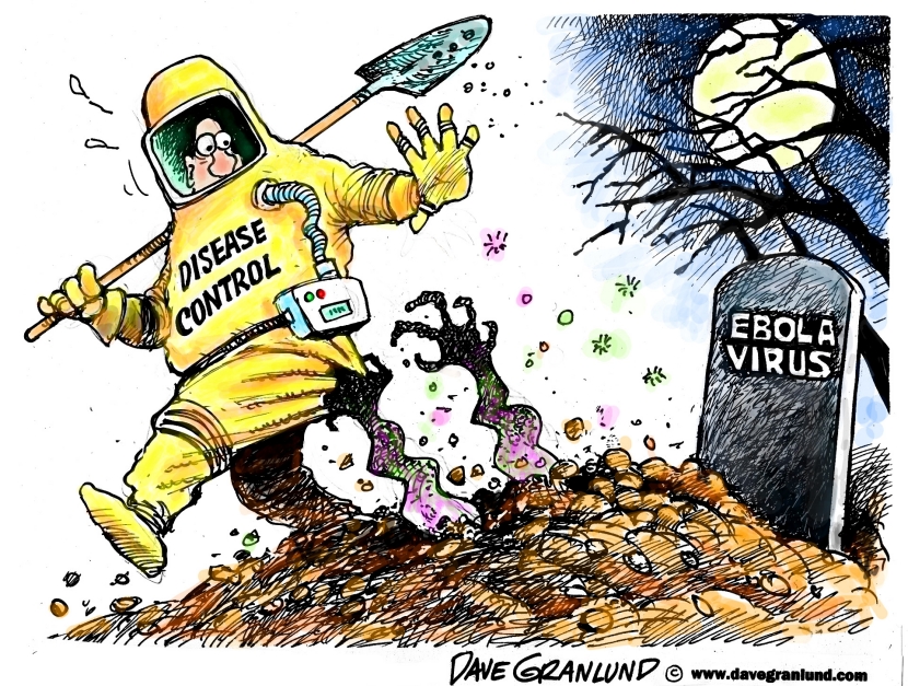 Ebola virus