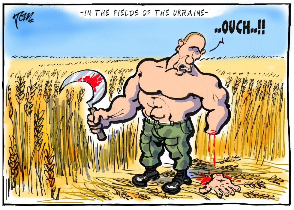 the fields of the Ukraine