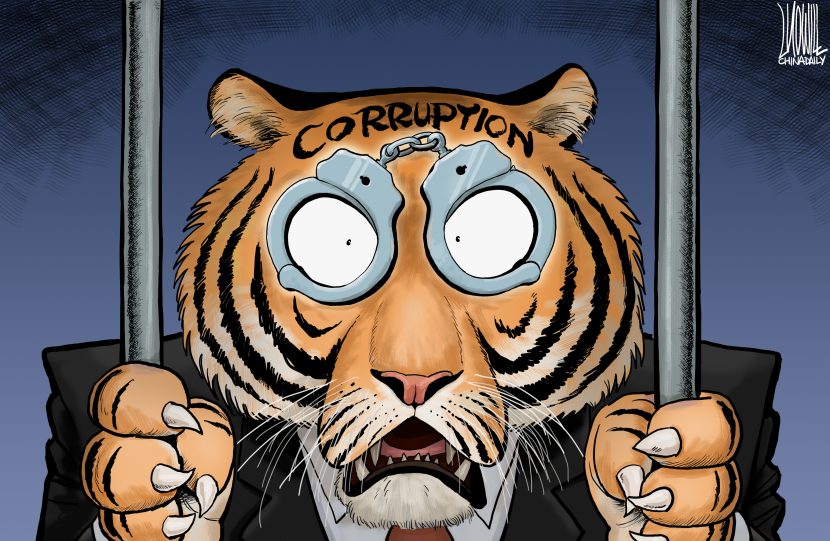 Big Tiger caught
