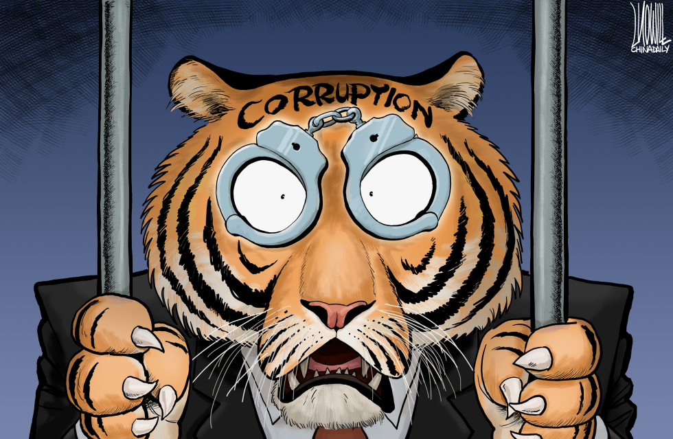 Big Tiger caught