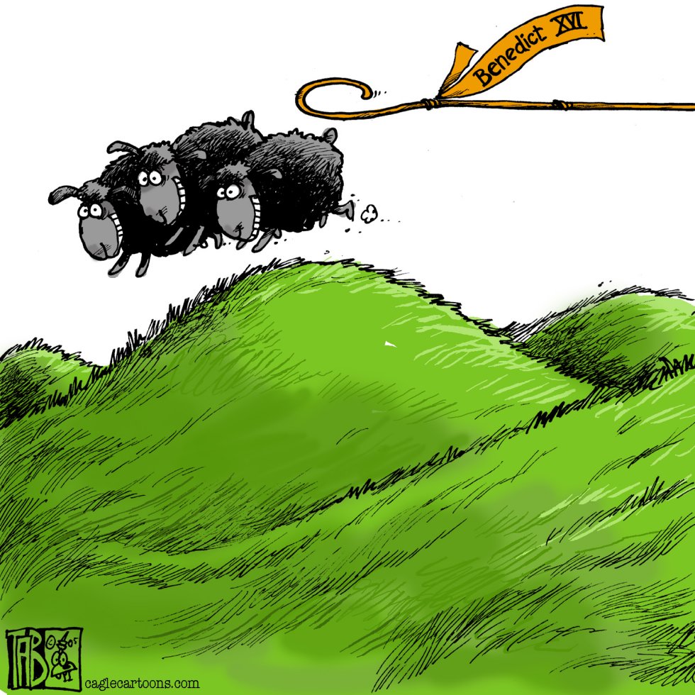 Black Sheep COLOR