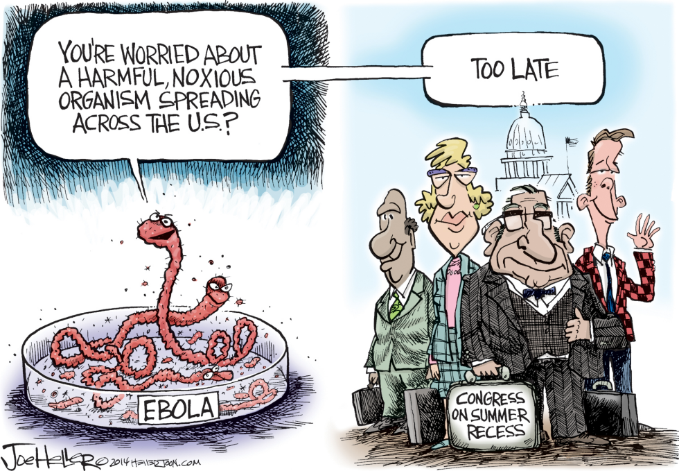 Ebola and friends