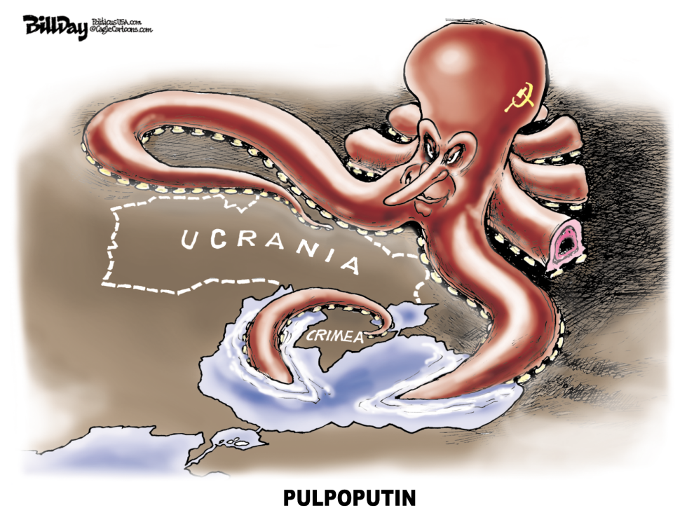 Pulpoputin / COLOR
