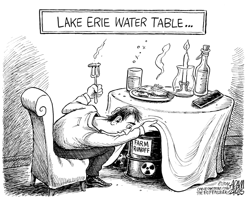 Toxic Algae