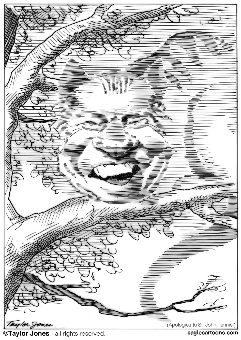 The Cheshire Nixon