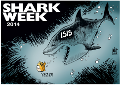 SHARK WEEK IN IRAQ,  by Randy Bish