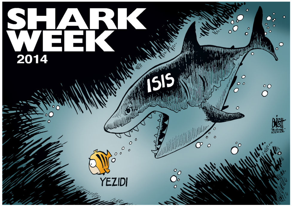 SHARK WEEK IN IRAQ, COLOR