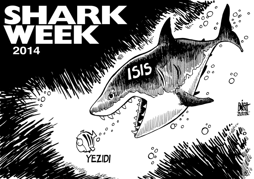 SHARK WEEK IN IRAQ, B/W