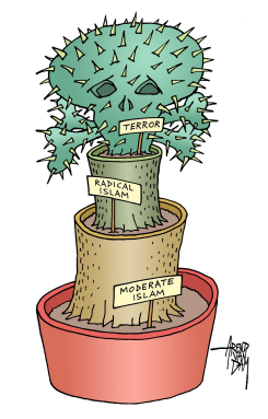 MODERATE AND RADICAL by Arend Van Dam