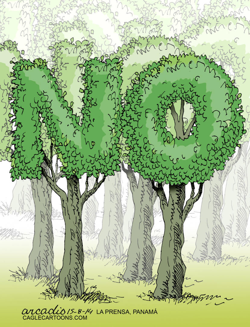 No a la deforestación