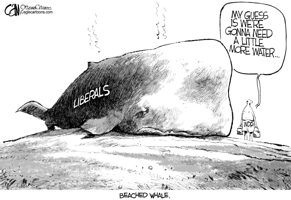 CANADA Beached Whale