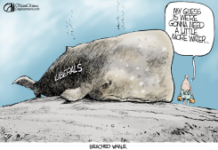 CANADA BEACHED WHALE  by Cam Cardow