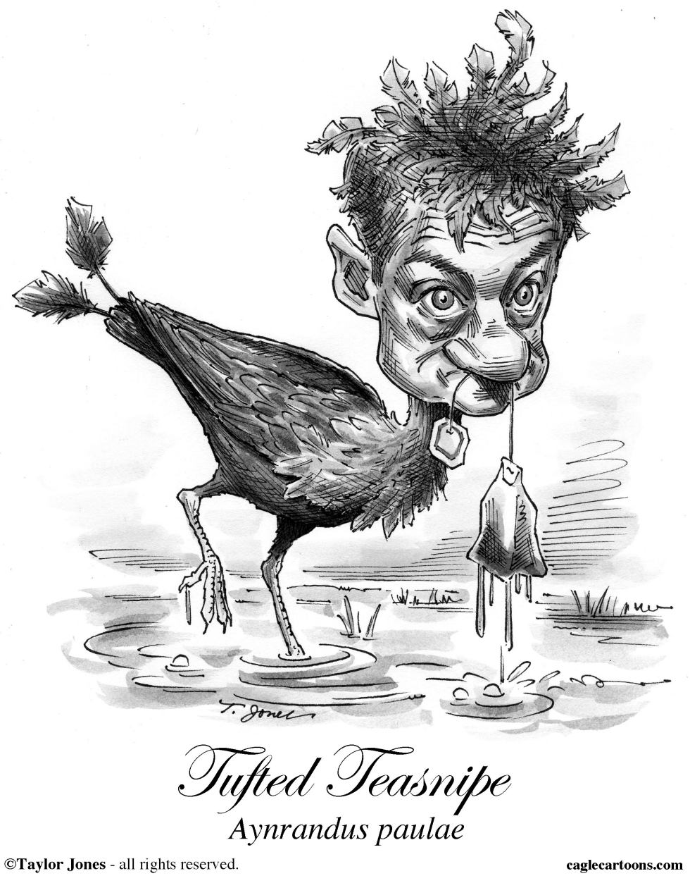 Rand Paul - Strange Bird
