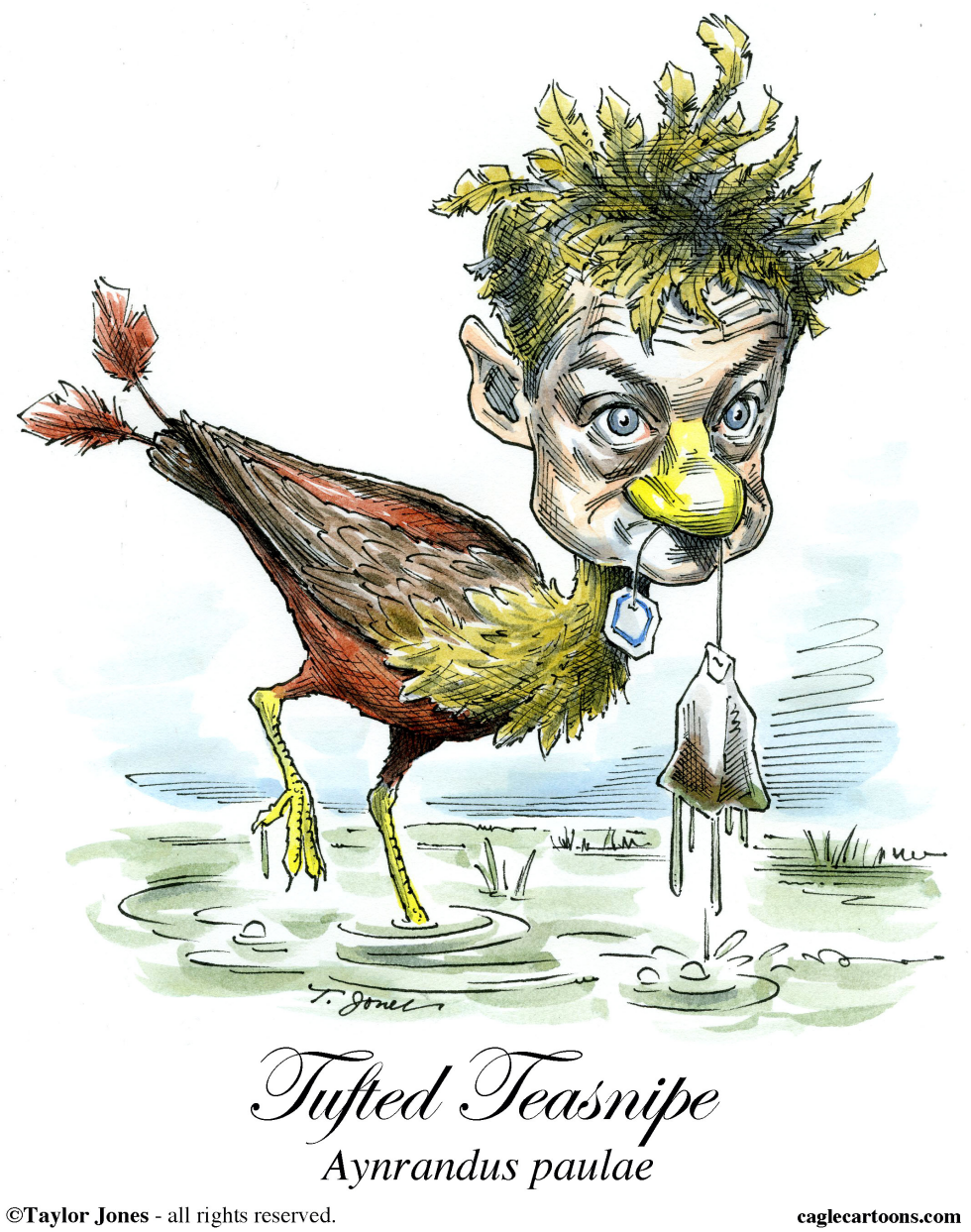 Rand Paul - Strange Bird - COLOR