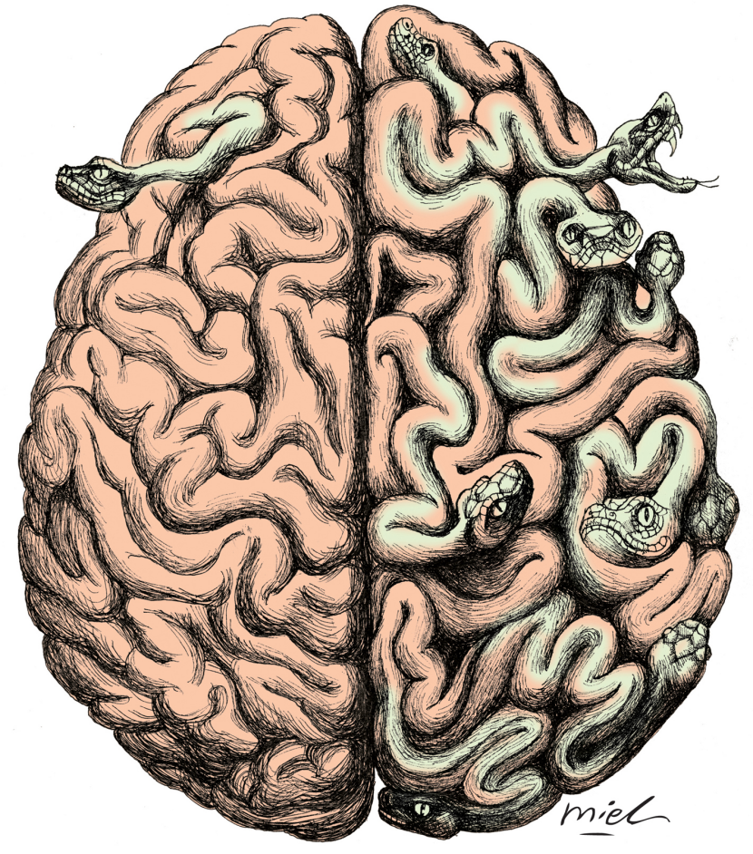 Terrorism ISIS brainwashing