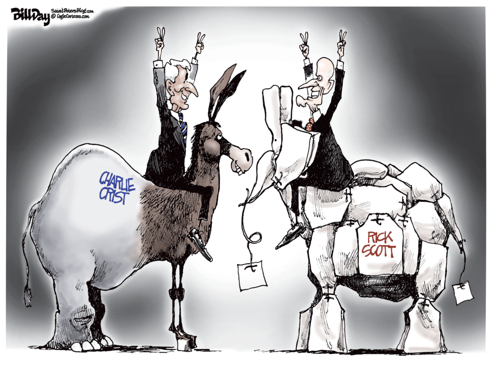 local FL POLITICAL ANIMALS color