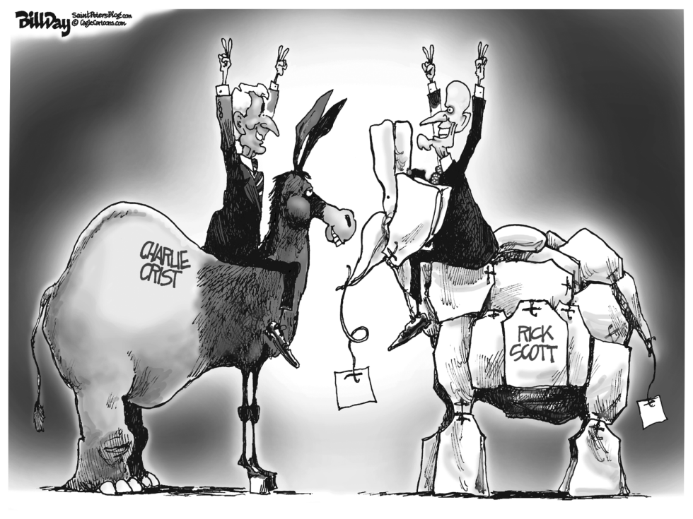 local FL POLITICAL ANIMALS