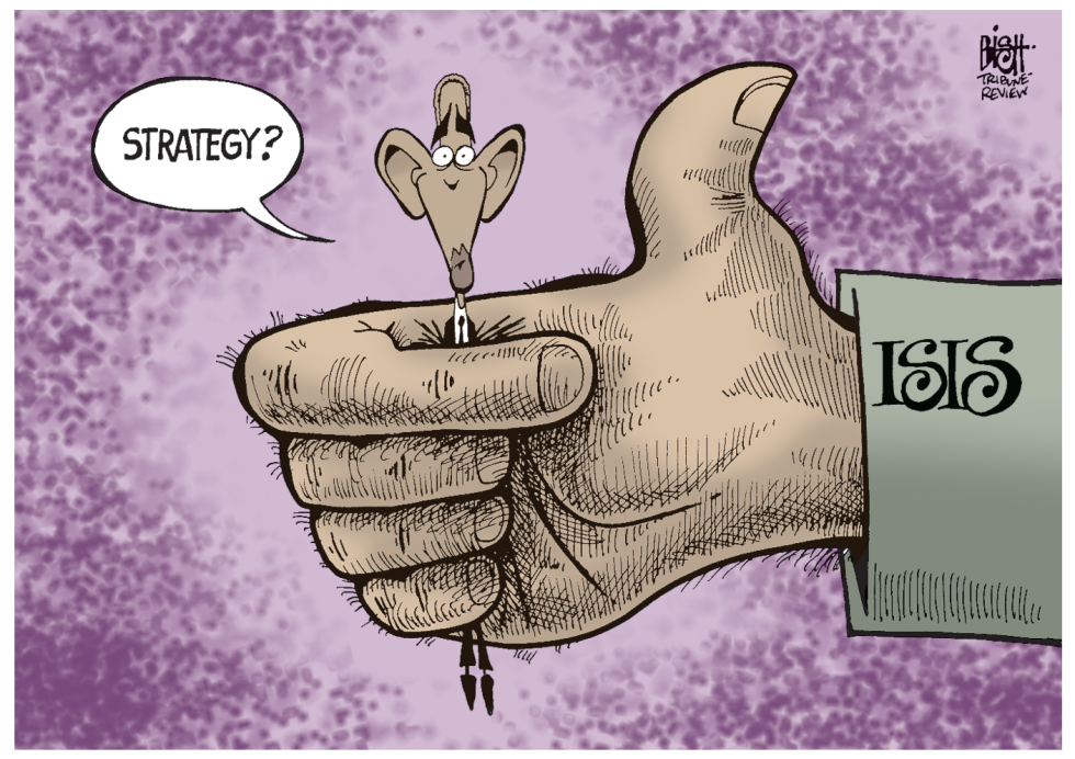 OBAMA'S STRATEGY, COLOR