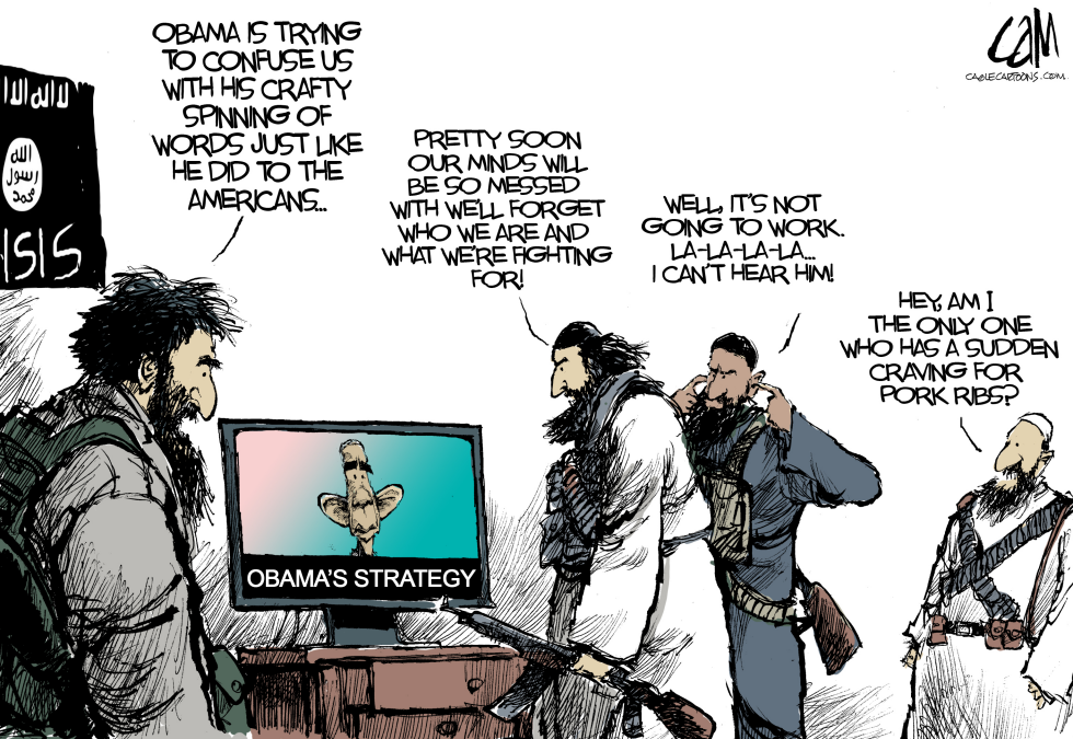 Obama's Strategy Revealed COLOR