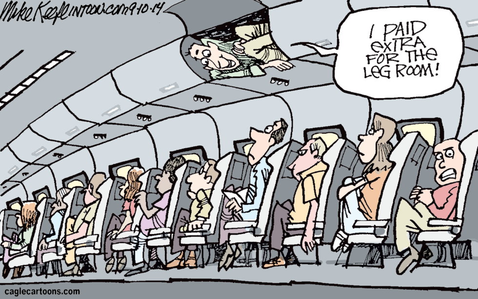 Airline Passenger Seating COLOR