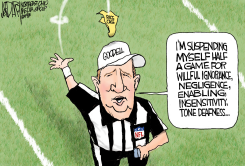 GOODELL RAY RICE SUSPENSION by Jeff Darcy