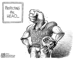 NFL CULTURE by Adam Zyglis