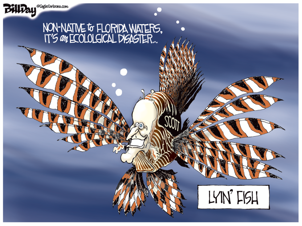 local FL LYIN' FISH  color