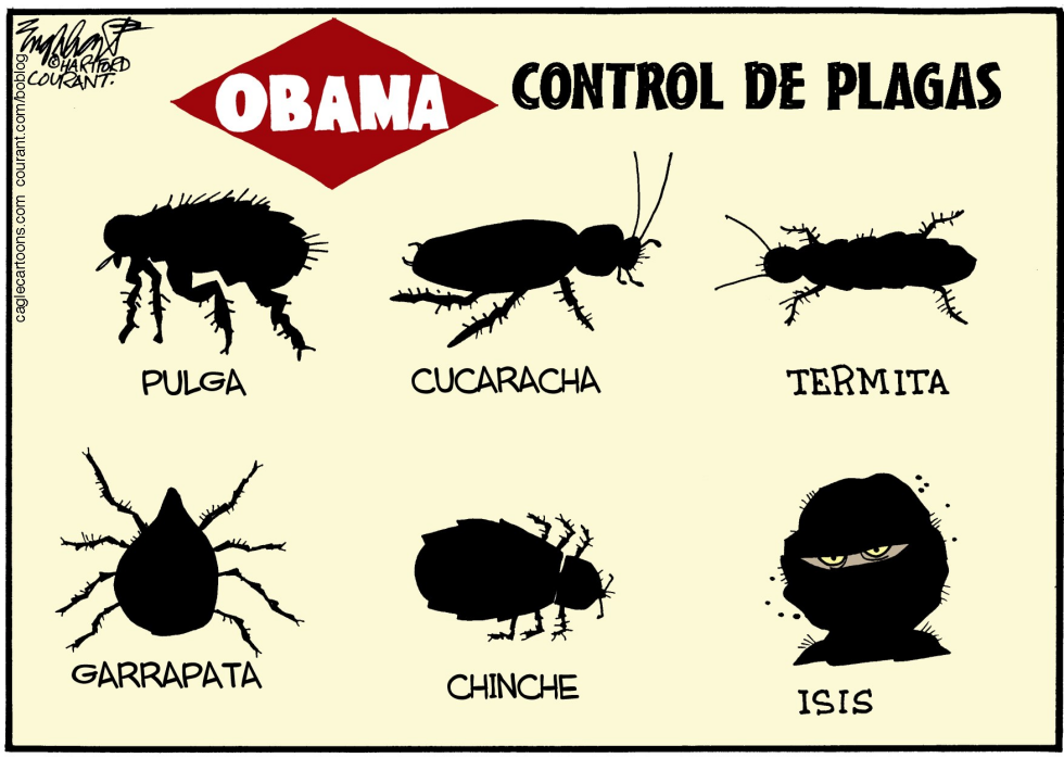 Guerra contra ISIS / COLOR