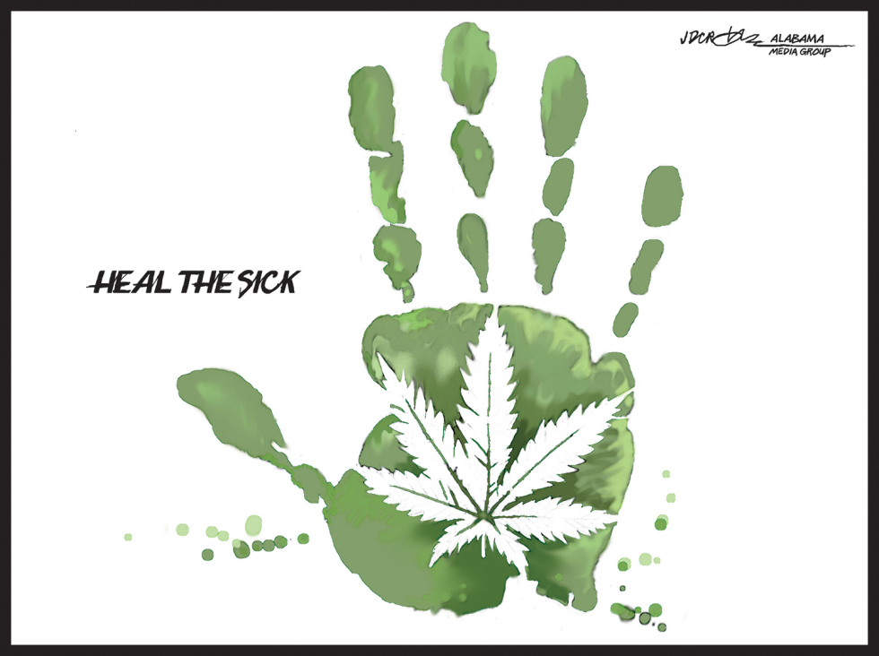 Marijuana oil heals