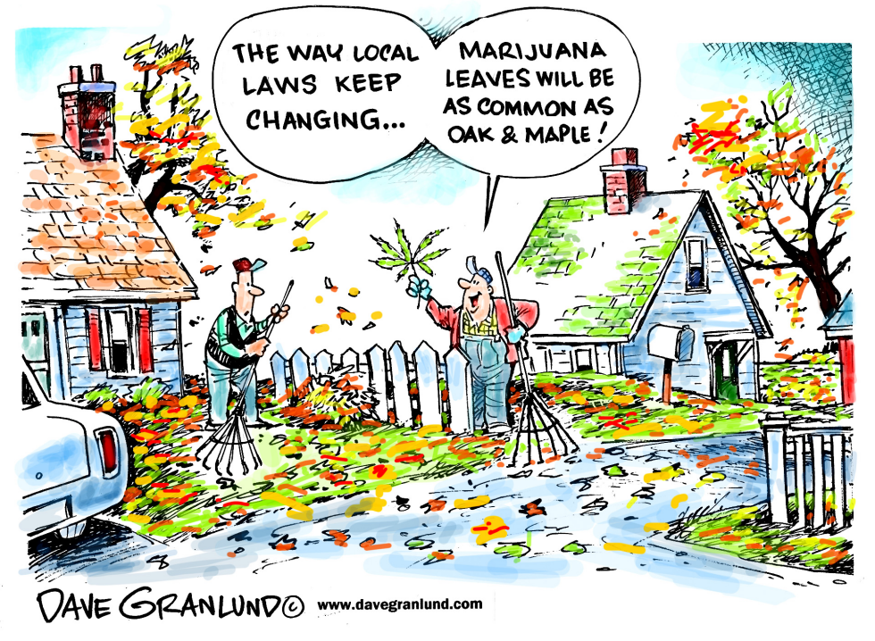 Marijuana laws