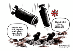 US AND ARABS BOMB ISIS  by Jimmy Margulies