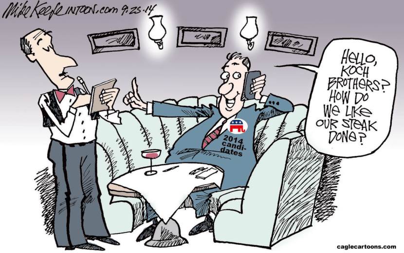 Koch Influence COLOR