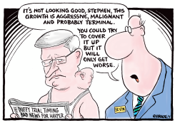 BAD TIMING FOR STEPHEN HARPER by Ingrid Rice