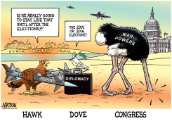 HAWK AND DOVE AND CONGRESS by R.J. Matson