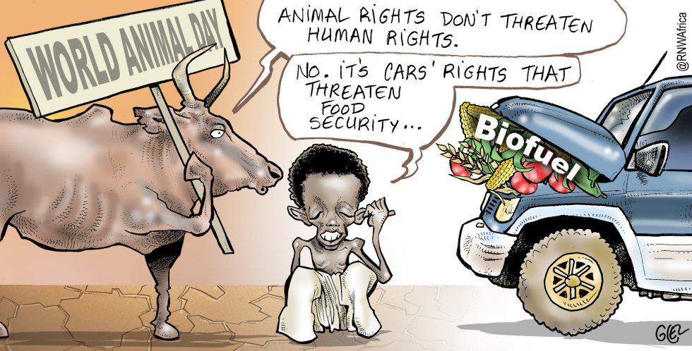 World Animal Day