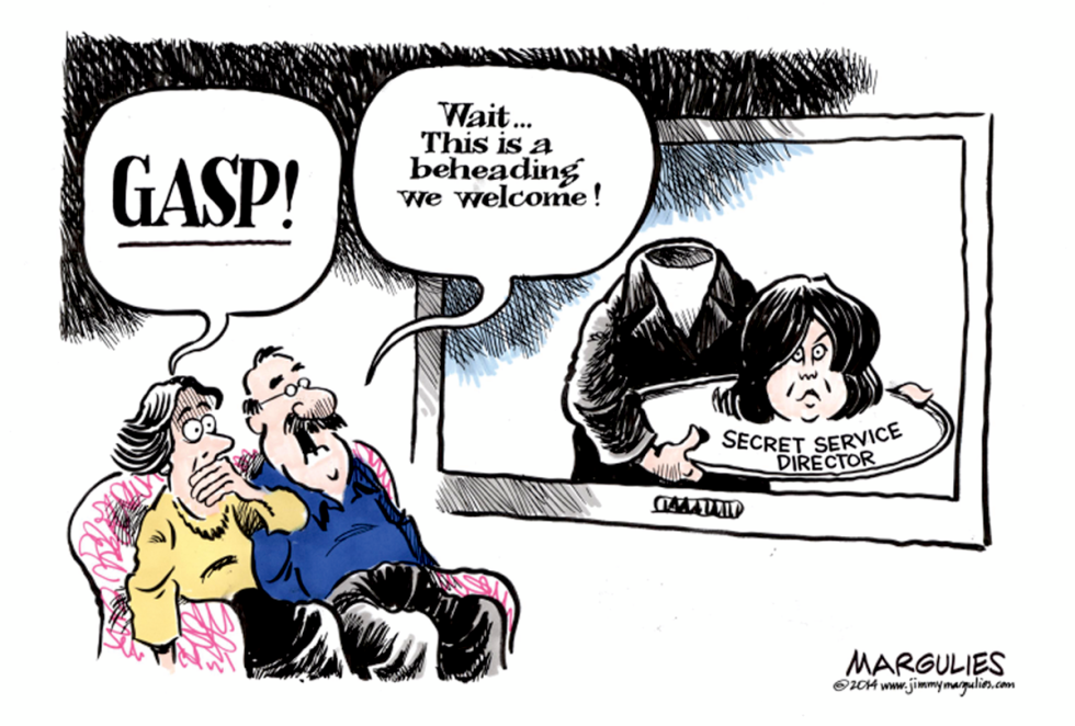 Secret Service Director Out color