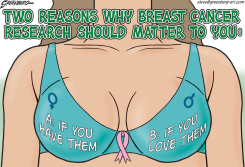 BREAST CANCER RESEARCH by Steve Greenberg