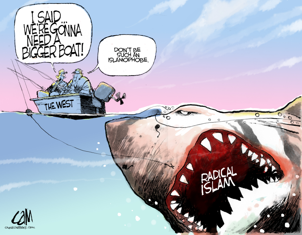 Bigger Boat COLOR