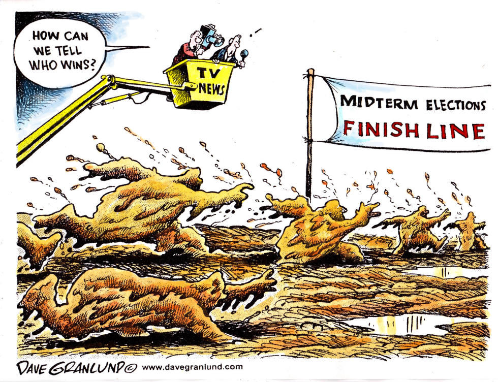  MIDTERM ELECTIONS by Dave Granlund